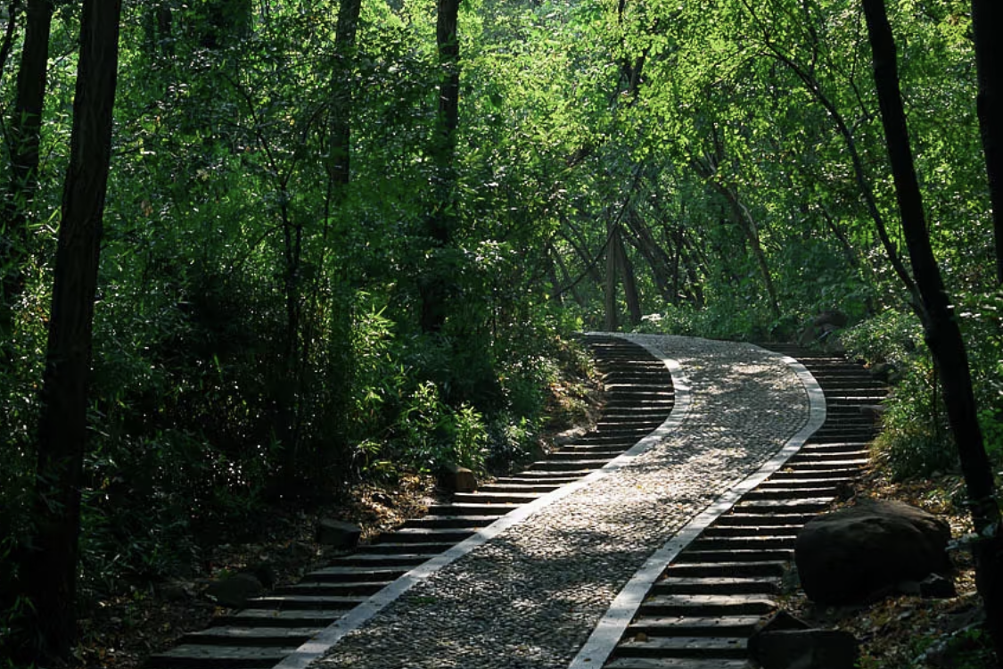 Forest Park